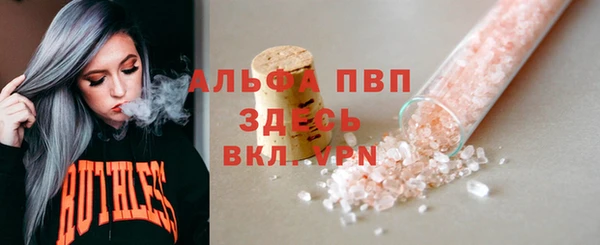 хмурый Гусев
