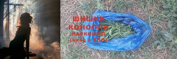 хмурый Гусев