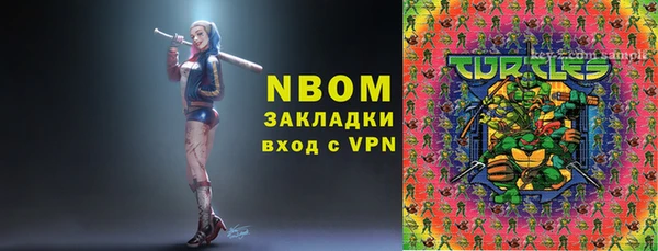 амф Гусиноозёрск