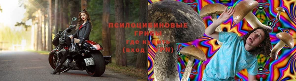 хмурый Гусев