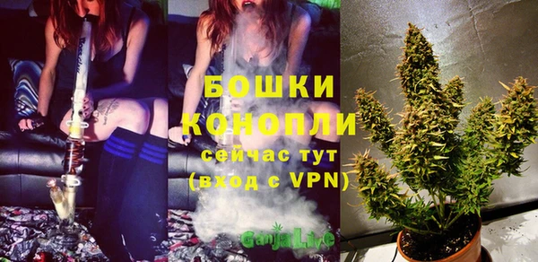 хмурый Гусев