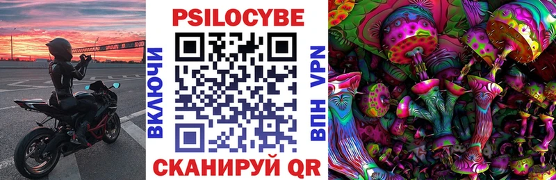 Псилоцибиновые грибы Cubensis  Купить где  Салаир 